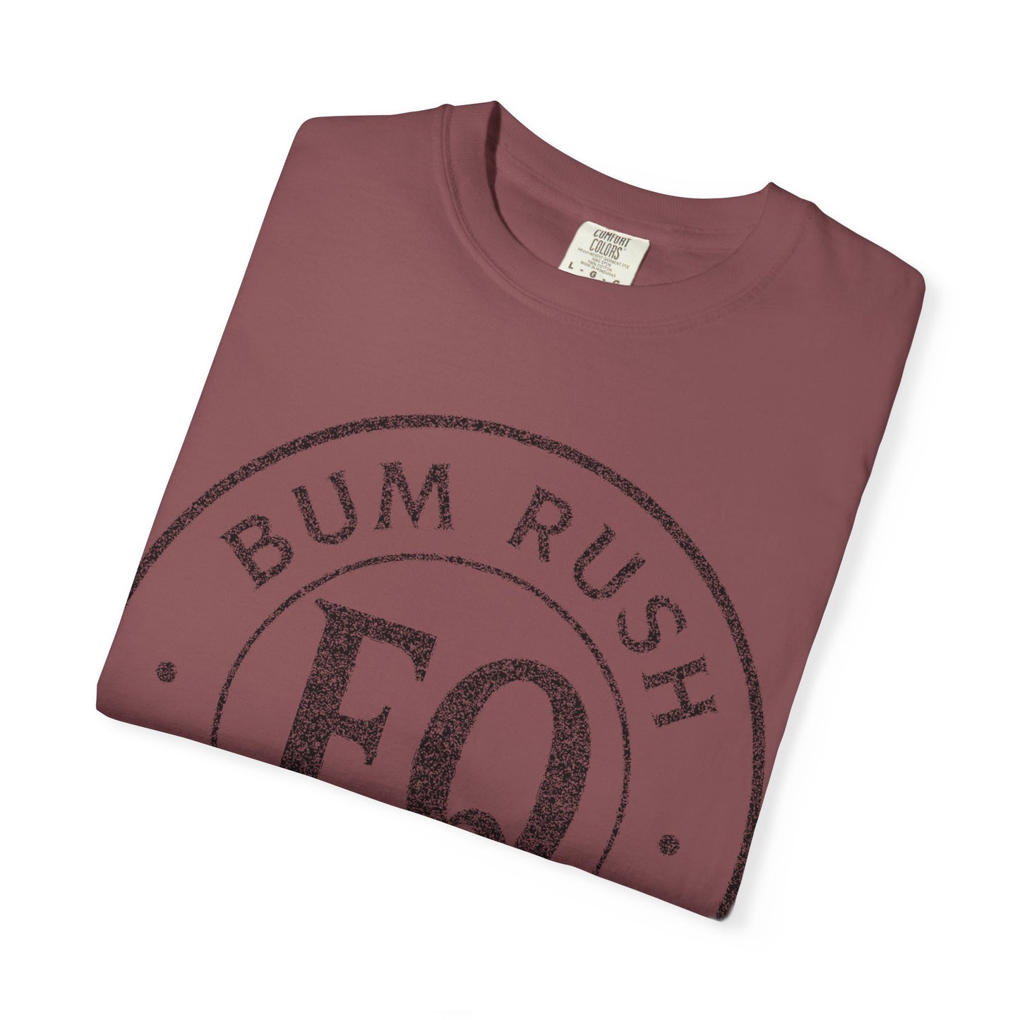Inspirational Garment-Dyed Unisex T-Shirt - "BumRush with Adversity Boldness"